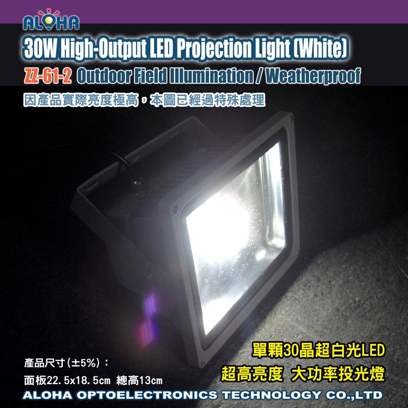 大功率LED投光燈30W(白光)